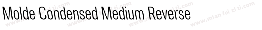 Molde Condensed Medium Reverse字体转换